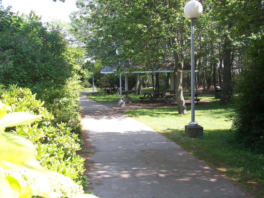 Mount Saint Vincent University Halifax Bagian luar foto